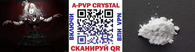 Альфа ПВП СК Великий Новгород
