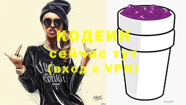 ECSTASY Горняк