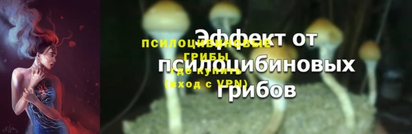 прущие грибы Горнозаводск