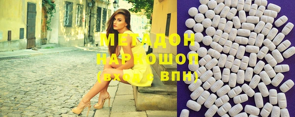 прущие грибы Горнозаводск