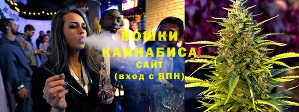 прущие грибы Горнозаводск