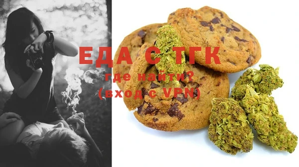 ECSTASY Горняк