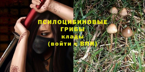 ECSTASY Горняк