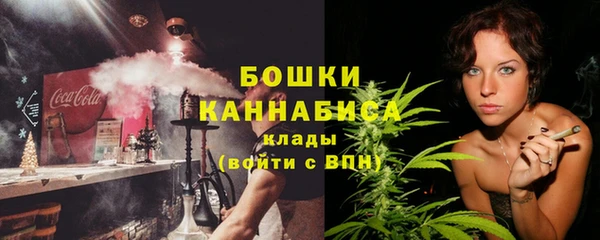 ECSTASY Горняк