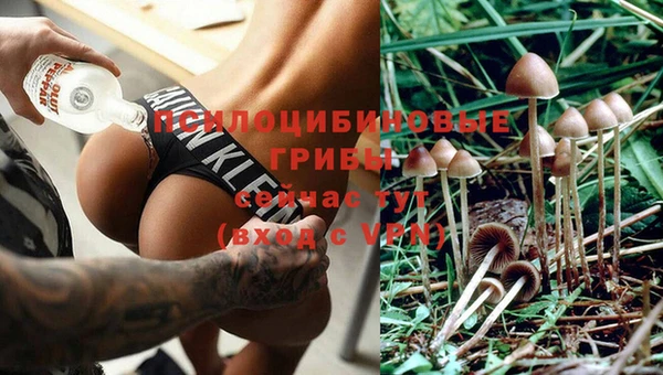 ECSTASY Горняк