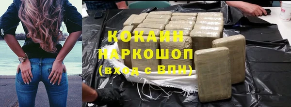 прущие грибы Горнозаводск
