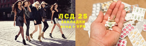 прущие грибы Горнозаводск
